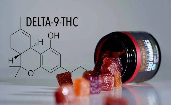 Delta-9 Gummies