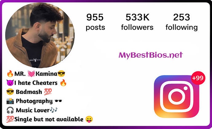 instagram bio for boys simple