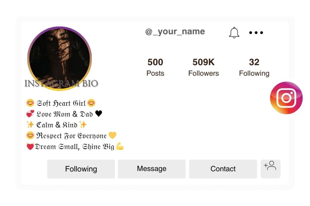 Classy Instagram Bio Stylish Font for Girls
