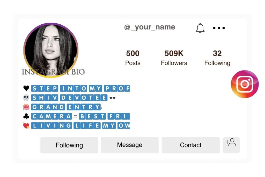 Cool Instagram VIP Bio Stylish Font